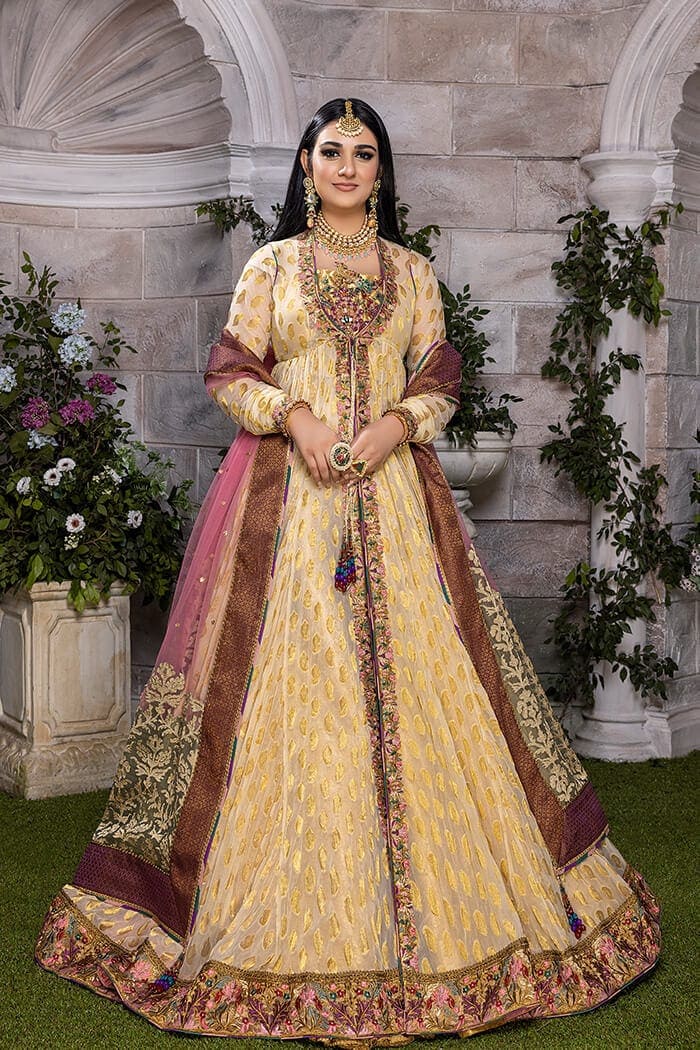 Rani-e-Falak