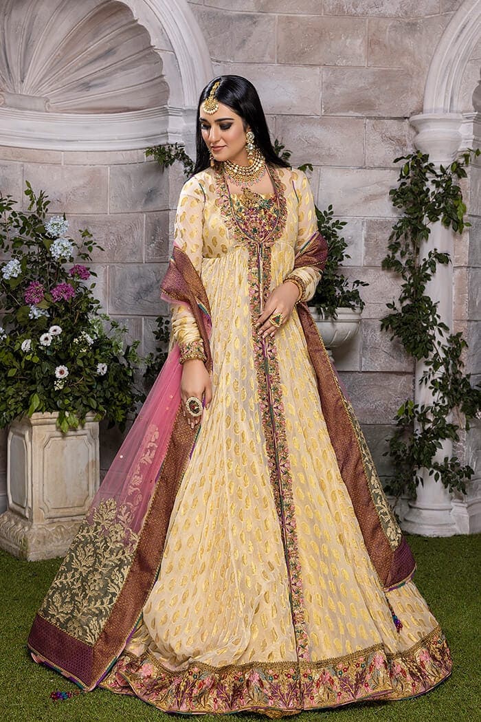 Rani-e-Falak