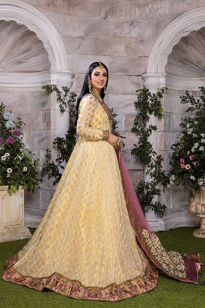 Rani-e-Falak