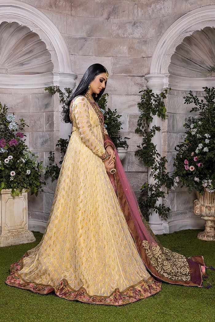 Rani-e-Falak