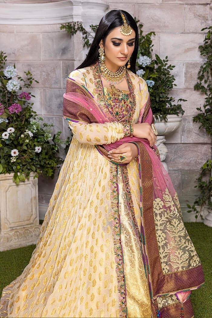 Rani-e-Falak