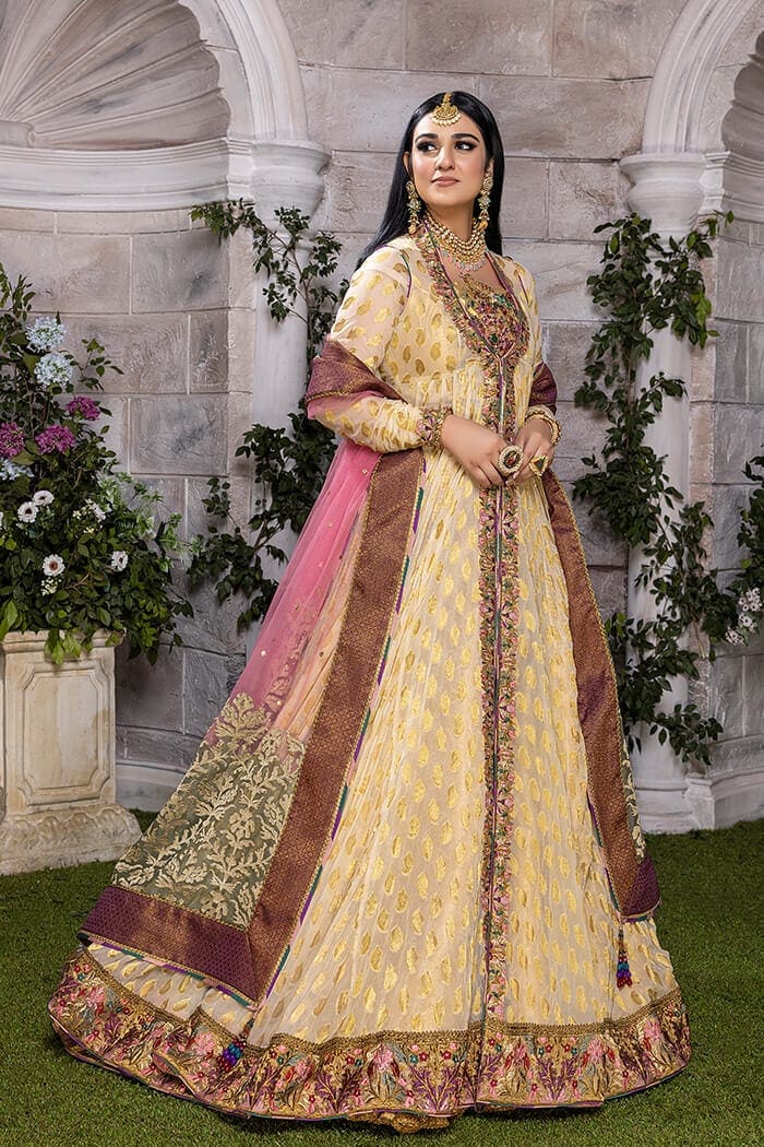 Rani-e-Falak