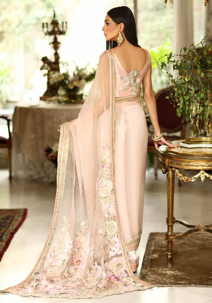 Camellia's Orchid