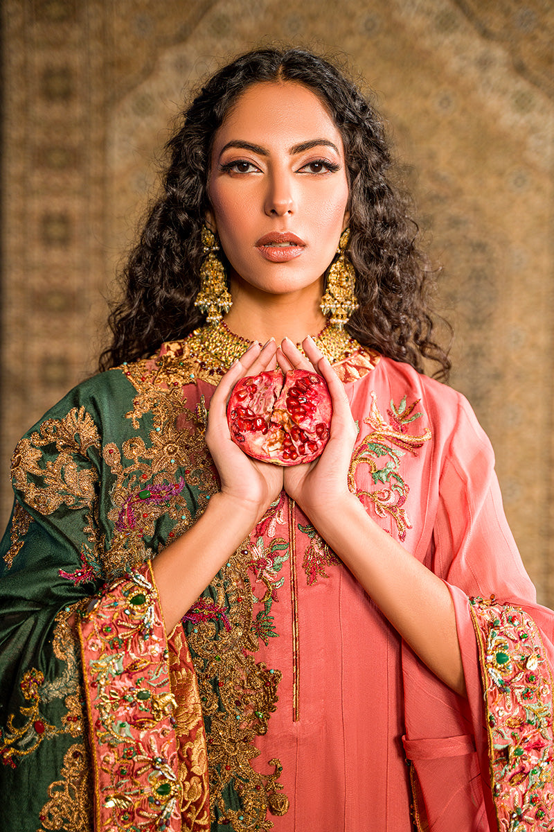 Shahnama Shawl - Qurat ul Ain